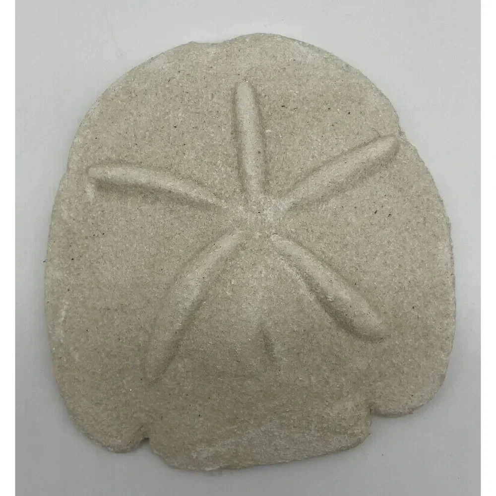 Faux Sand Dollar Wall Art 5.5” x 6” Natural Looking Molded‎ Cement Handmade